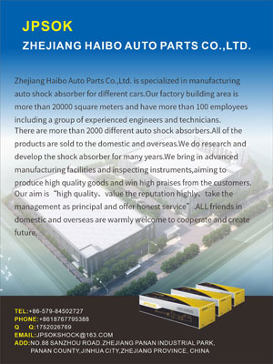 Zhejiang Haibo Auto Parts Co., Ltd.