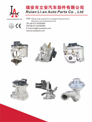 Ruian Li'an Auto Parts Co., Ltd.